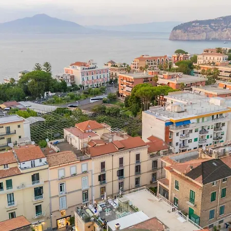 Отель Hotel Sorrento City 3*