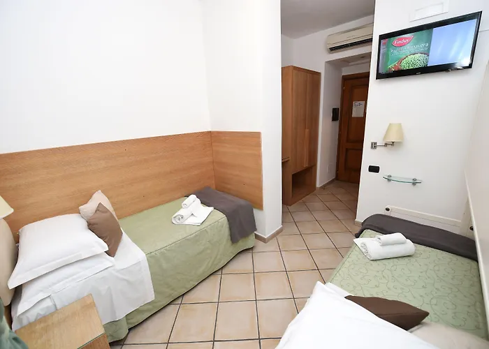 Отель Hotel Sorrento City 3*
