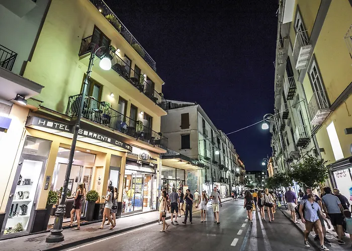 Отель Hotel Sorrento City 3*